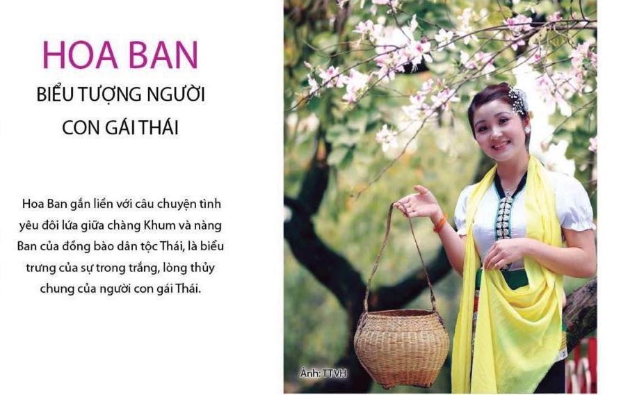Agri Hotel Diện Biên Phủ Extérieur photo
